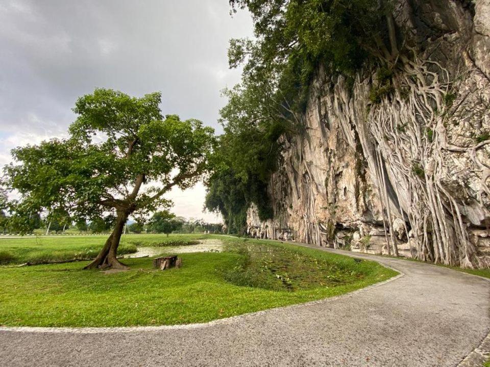 Low Season Promotion! 4B11B Mountainview 16 Pax Ipoh Esterno foto